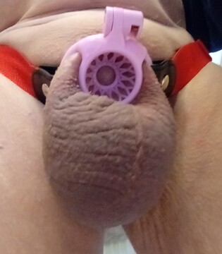 new chastity fish basket photo 6