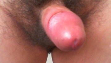 EXHIBIENDOME 2 photo 27