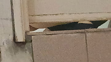 廁所拍 photo 85