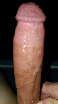 My cock photo 2