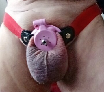 new negative chastity