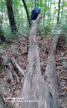 Chattanooga, TN. '21 photo 9