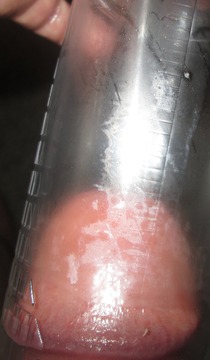 Misc. photo 35