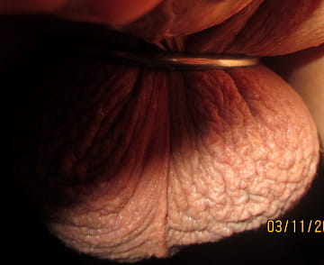 Misc. 17 photo 85