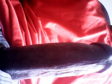 Hard as a Rock photo 8