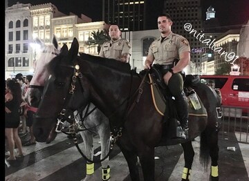 Police, Fire, and Rescue photo 499