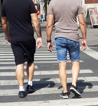 Calves photo 34